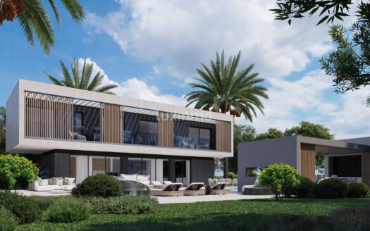 Nieuw project van moderne villa's in Portichol